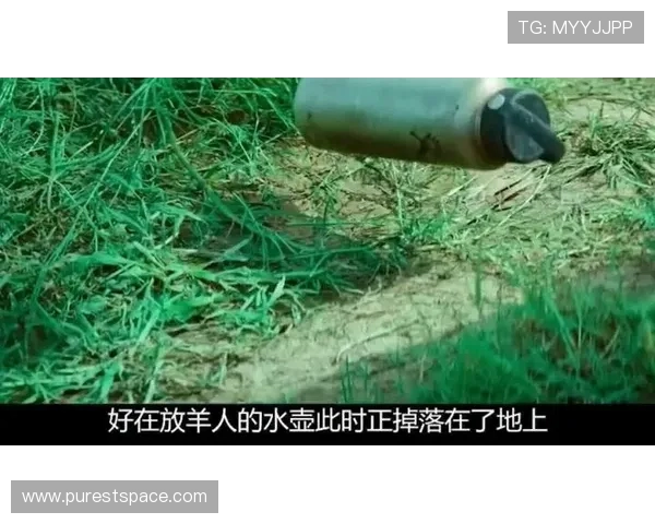 鏂熀鎷夛細鏂淮鎷夊皵缁害缃楅┈杩涘叆鏈€鍚庨樁娈碉紝350 涓囨骞磋柂 + 濂栭噾鍗冲皢鏁插畾